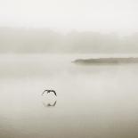 Silence-Nicholas Bell Photography-Photographic Print