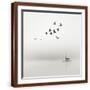 Brown Frame