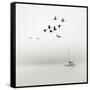 Canvas Black