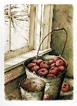 Pail of Apples-Nicholas Berger-Limited Edition