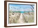 Brown Frame