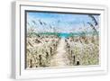 White Frame