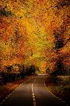 An Autumn/Fall Drive-Nicholas Hall-Photographic Print
