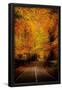 Essential Black
