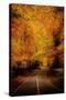 Stretched Canvas