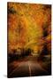 Stretched Canvas