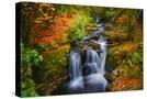 Stretched Canvas