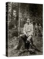 Nicholas II of Russia (1868-191). March 1917-null-Stretched Canvas