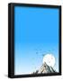 Essential Black