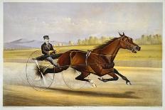 The Racing Sulky-Nicholas Winfield Leighton-Laminated Giclee Print