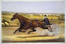 Queen of the Turf, 'Maud S', Driven by W.W. Bair, Lithograph-Nicholas Winfield Leighton-Giclee Print