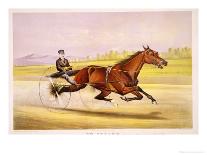 The Racing Sulky-Nicholas Winfield Leighton-Stretched Canvas