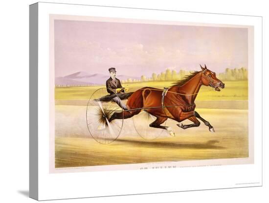 Stretched Canvas Print, , large