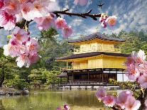 Gold Temple Japan-NicholasHan-Photographic Print