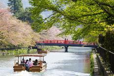 Japan's Heian Shrine Cherry-NicholasHan-Photographic Print