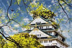 Gold Temple Japan-NicholasHan-Framed Poster