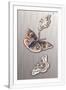 Gramercy White