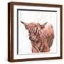 Brown Frame
