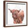 Chelsea Espresso