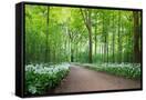 Canvas Black
