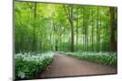Wood Mount