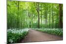 Wood Mount