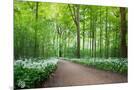 Wood Mount