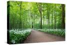 Stretched Canvas