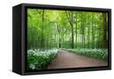 Canvas Black