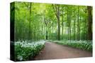 Stretched Canvas