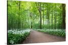 Stretched Canvas