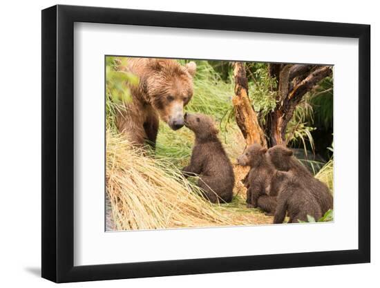 Premium Photographic Print, , large