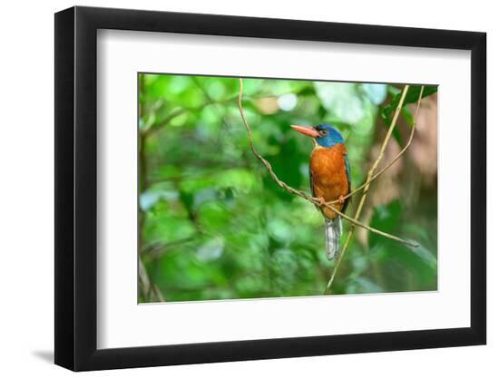 Premium Photographic Print, , large