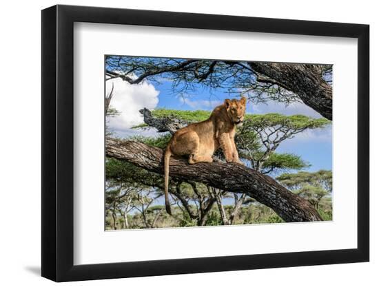Premium Photographic Print, , large
