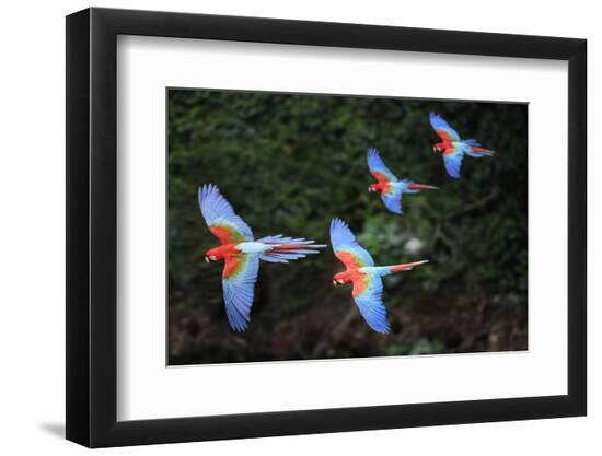Premium Photographic Print, , large