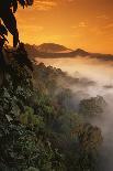 RF- Sunrise and mist over lowland dipterocarp rainforest. Danum valley, Sabah, Borneo, Malaysia-Nick Garbutt-Photographic Print