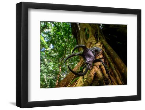 Premium Photographic Print, , large