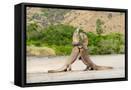 Canvas Black