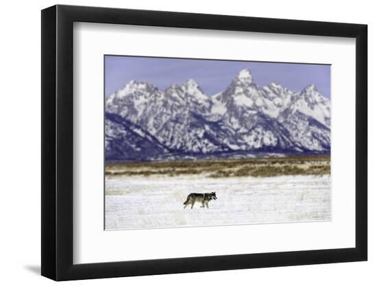Premium Photographic Print, , large