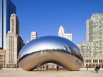 USA, Illinois, Chicago, the Cloud Gate Sculpture in Millenium Park-Nick Ledger-Photographic Print