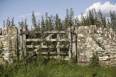An Overgrown Old Gate and Dry Stone Wall, Burford, Oxfordshire, UK-Nick Turner-Stretched Canvas