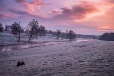 Cotswold Stone Wall With Lavender Fields, Snowshill Lavender Farm, Gloucestershire, UK, July 2008-Nick Turner-Photographic Print