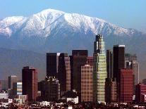 Los Angeles Zoo 1996-Nick Ut-Photographic Print