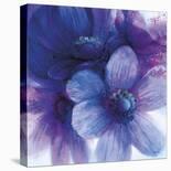 Floral Intensity III-Nick Vivian-Stretched Canvas