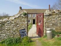 Cream Teas Sign Outside Cornish Farmhouse, Near Fowey, Cornwall, England, UK-Nick Wood-Photographic Print