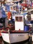 Fishing Boats in Port, Concarneau, Brittany, France-Nick Wood-Photographic Print