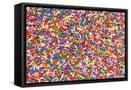 Framed Canvas