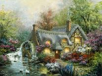 Guardian in Danger's Realm-Nicky Boehme-Giclee Print