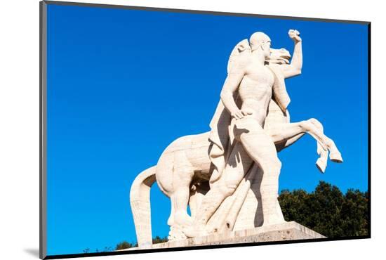 Photographic Print, , large