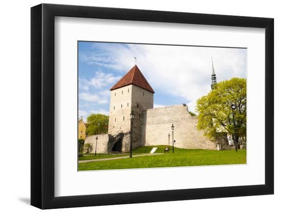 Premium Photographic Print, , large